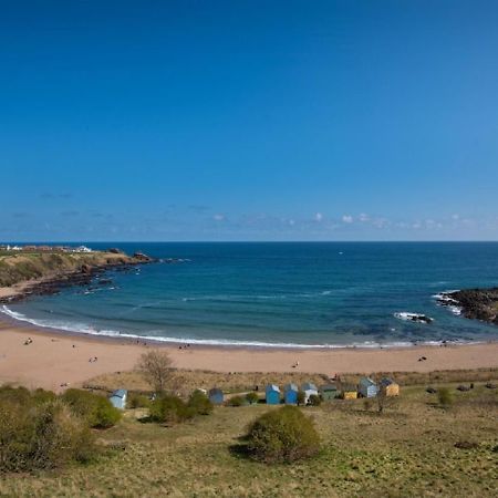 1 The Bay - Stunning Contemporary Flat On The Scottish Coast Lägenhet Coldingham Exteriör bild