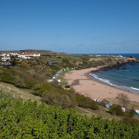 1 The Bay - Stunning Contemporary Flat On The Scottish Coast Lägenhet Coldingham Exteriör bild