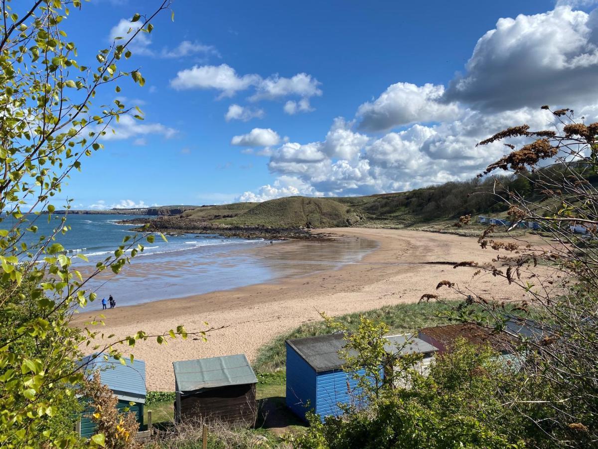 1 The Bay - Stunning Contemporary Flat On The Scottish Coast Lägenhet Coldingham Exteriör bild